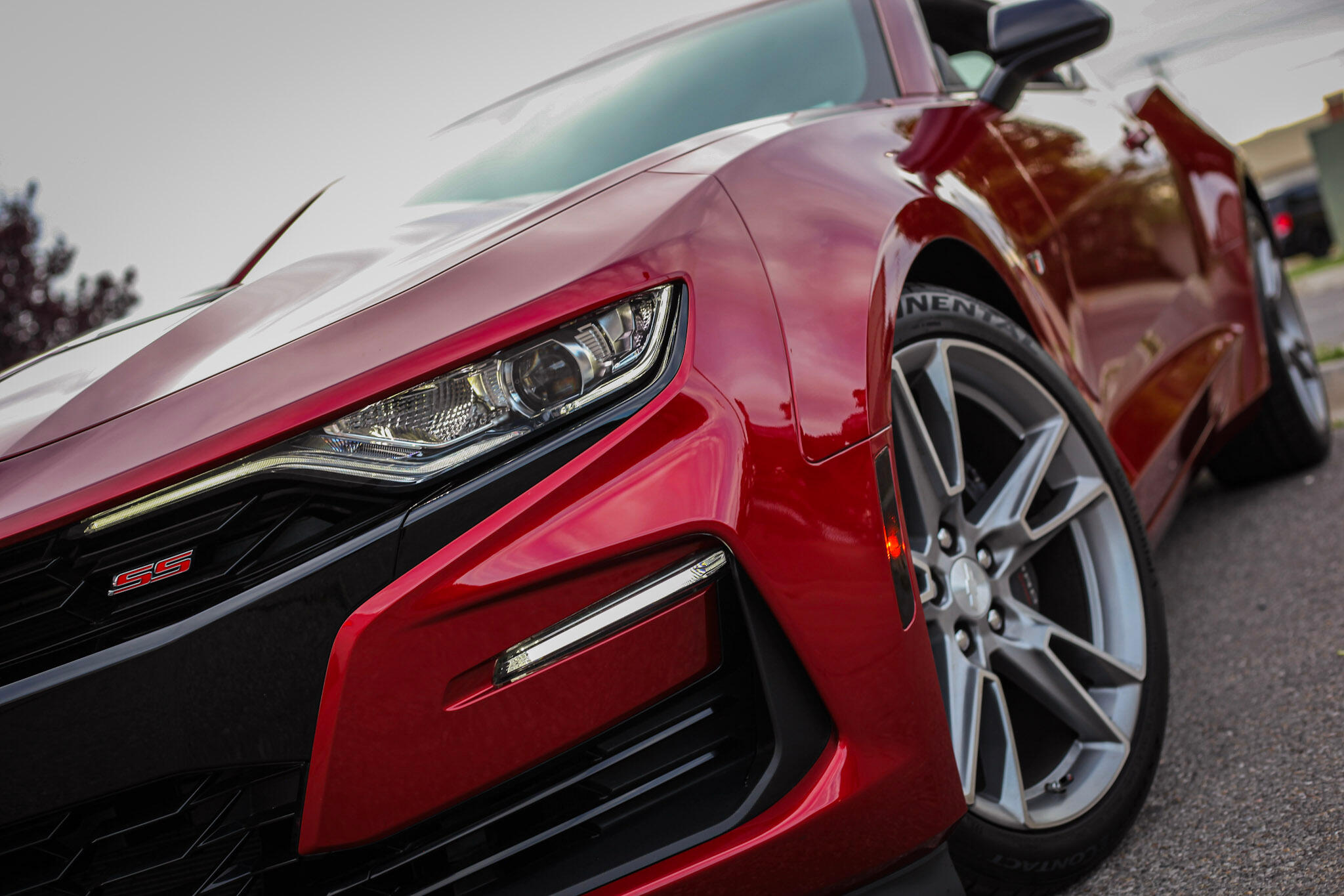 Camero